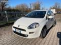 usato FIAT Punto