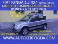 usato FIAT Panda