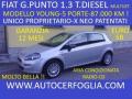 usato FIAT Punto