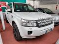 usato LAND ROVER Freelander