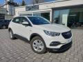 usato OPEL Grandland X