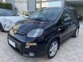 usato FIAT Panda