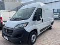 usato FIAT Ducato