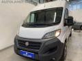 usato FIAT Ducato