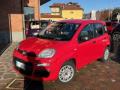 usato FIAT Panda