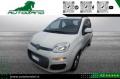 usato FIAT Panda