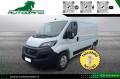 usato FIAT Ducato