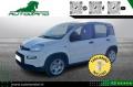 usato FIAT Panda