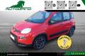 usato FIAT Panda