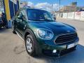 usato MINI Countryman