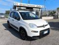 usato FIAT Panda