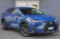 usato LEXUS NX 300h