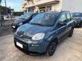 usato FIAT Panda