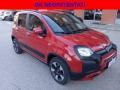 usato FIAT Panda Cross