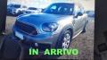 usato MINI Countryman