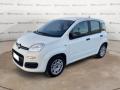 usato FIAT Panda