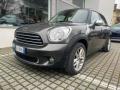 usato MINI Countryman