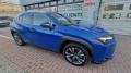 usato LEXUS UX Full Electric