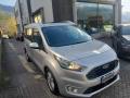 usato FORD Tourneo Connect