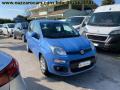 usato FIAT Panda