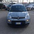 usato FIAT Panda