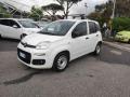 usato FIAT Panda