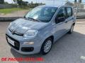 usato FIAT New Panda