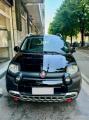 usato FIAT Panda Cross