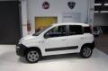 usato FIAT Panda