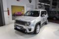 usato JEEP Renegade