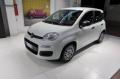 usato FIAT Panda