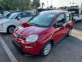 Km 0 FIAT Panda