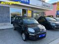 usato FIAT Panda