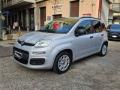 usato FIAT Panda