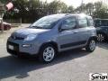 usato FIAT Panda