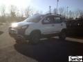 usato FIAT Panda