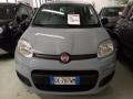 usato FIAT Panda