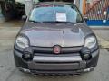 usato FIAT Panda