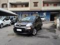 usato FIAT Panda