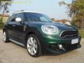 usato MINI Countryman