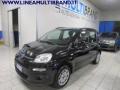 usato FIAT Panda