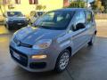 usato FIAT Panda