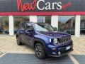 usato JEEP Renegade