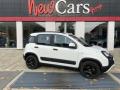 usato FIAT Panda Cross