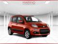 usato FIAT Panda