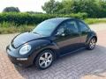 usato VOLKSWAGEN New Beetle