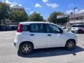 usato FIAT Panda