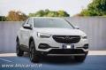 usato OPEL Grandland X