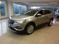 usato Opel Grandland X