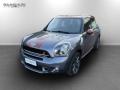 usato MINI Countryman